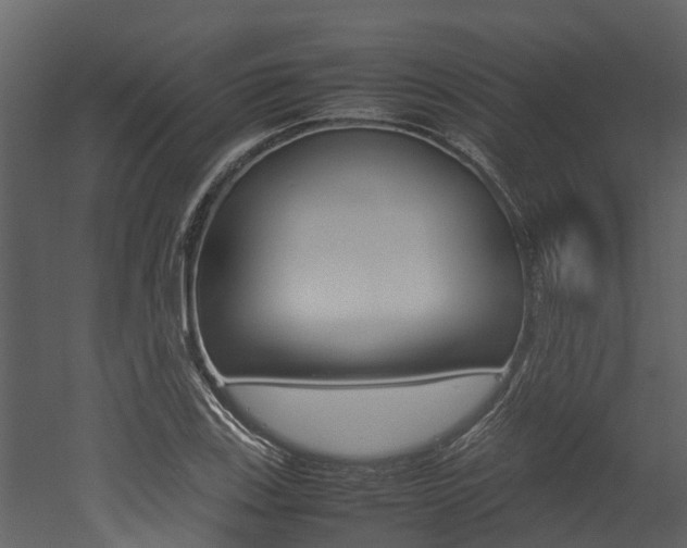 X0000052971123200507080915