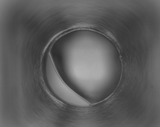 X0000052971124200507080915