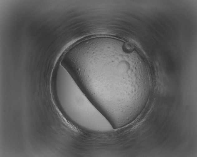 X0000052971125200507080915