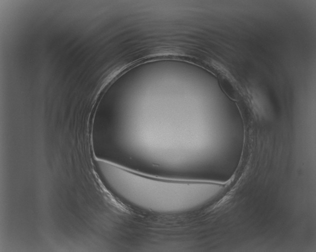 X0000052971129200507080915