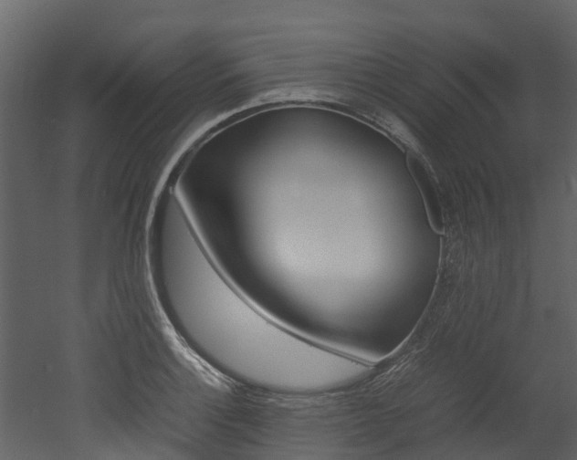 X0000052971132200507080915
