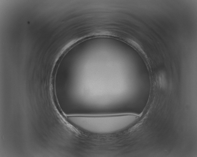 X0000052971133200507080915