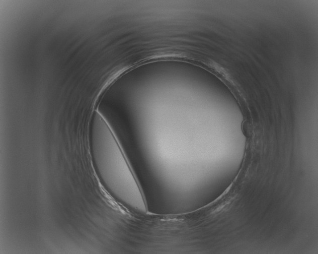 X0000052971137200507080915