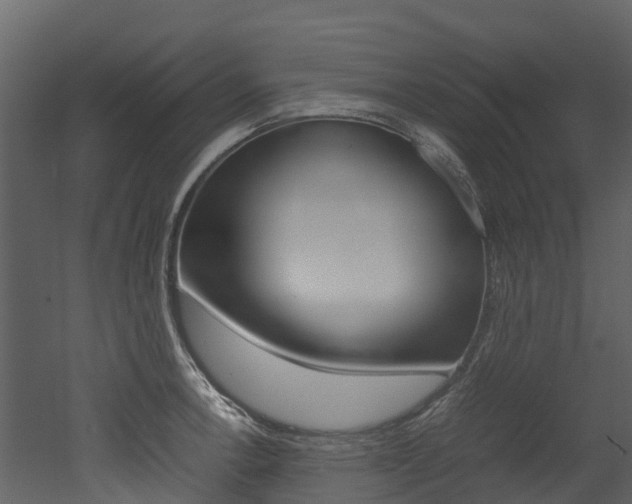 X0000052971138200507080915