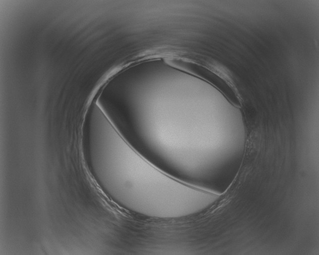 X0000052971146200507080915