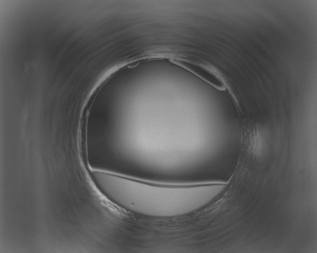 X0000052971147200507080915