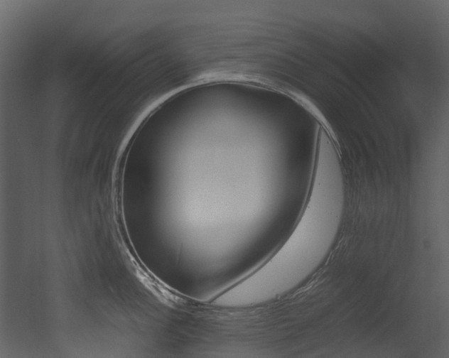 X0000052971148200507080915