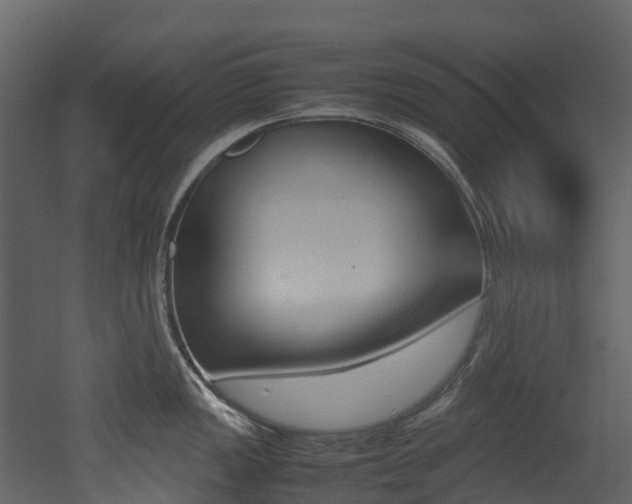 X0000052971149200507080915