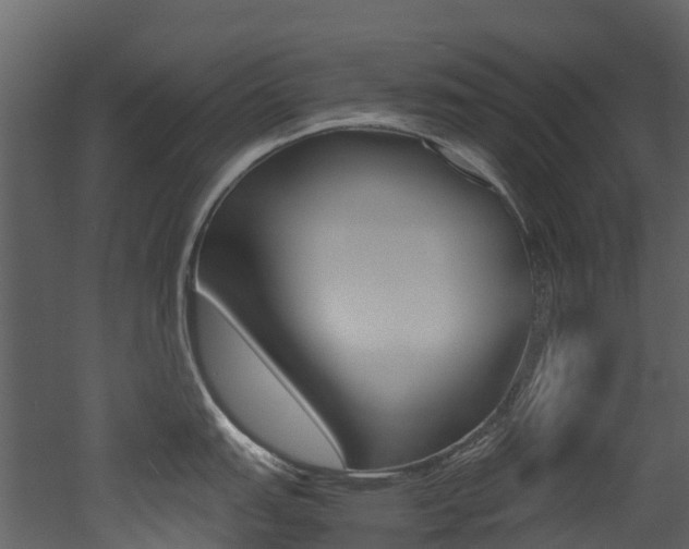 X0000052971151200507080915