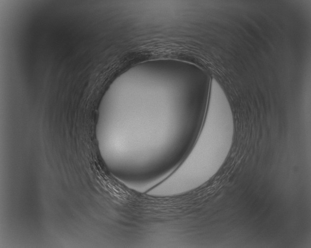X0000052971153200507080914
