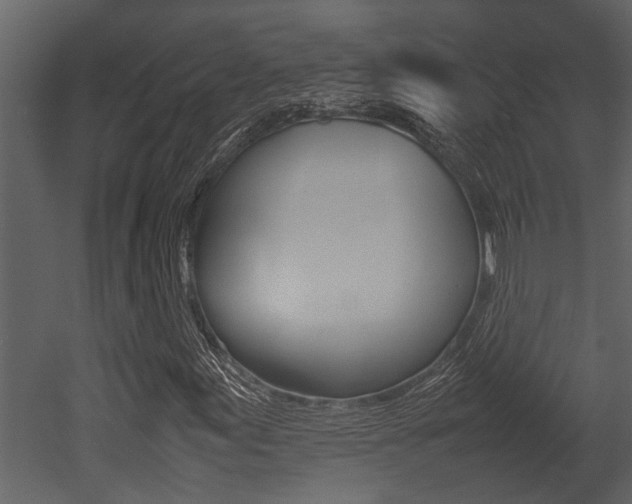 X0000052971155200507080914