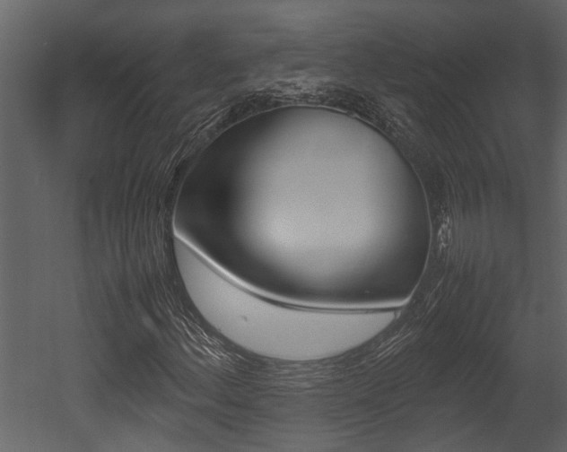 X0000052971156200507080914