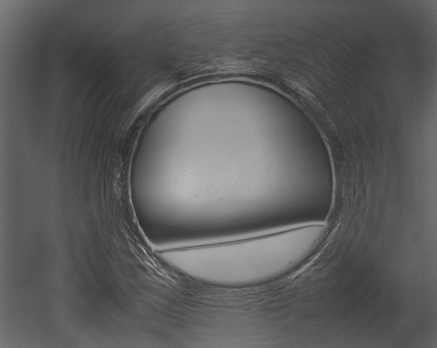 X0000052971163200507080914