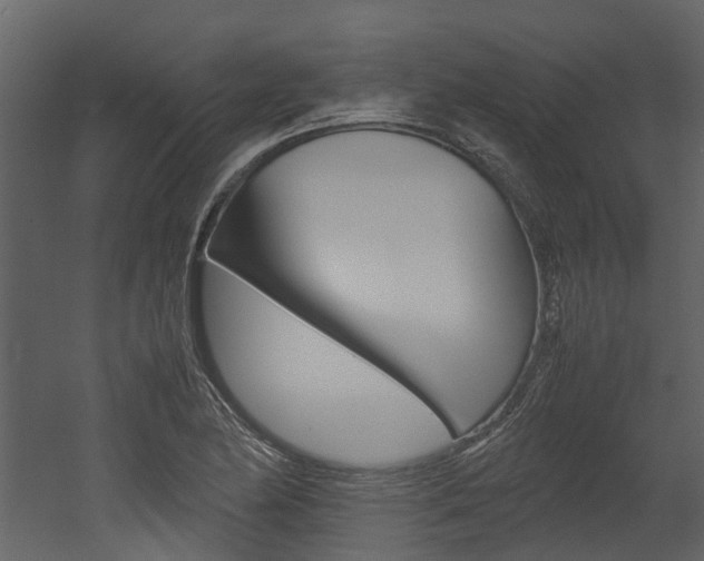 X0000052971174200507080914