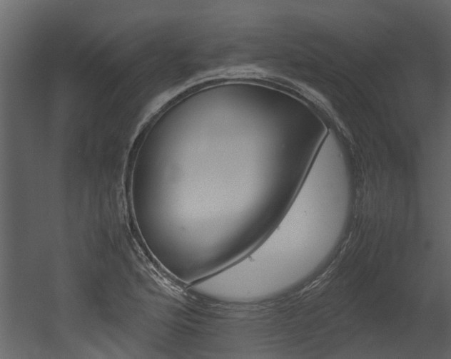 X0000052971176200507080914