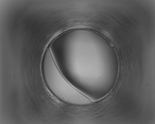 X0000052971181200507080914