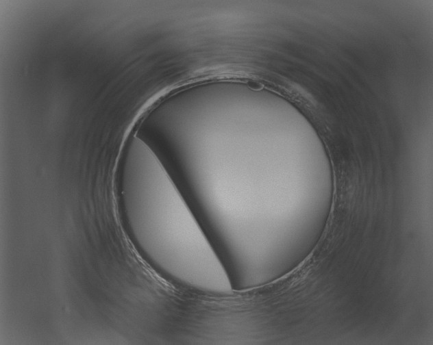 X0000052971182200507080914
