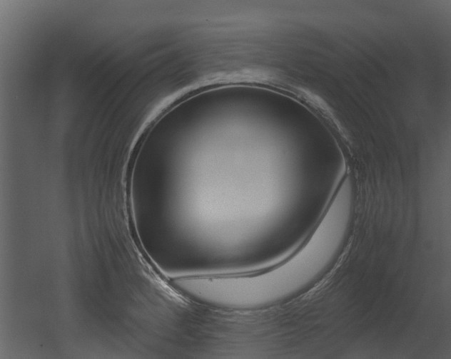 X0000052971184200507080914