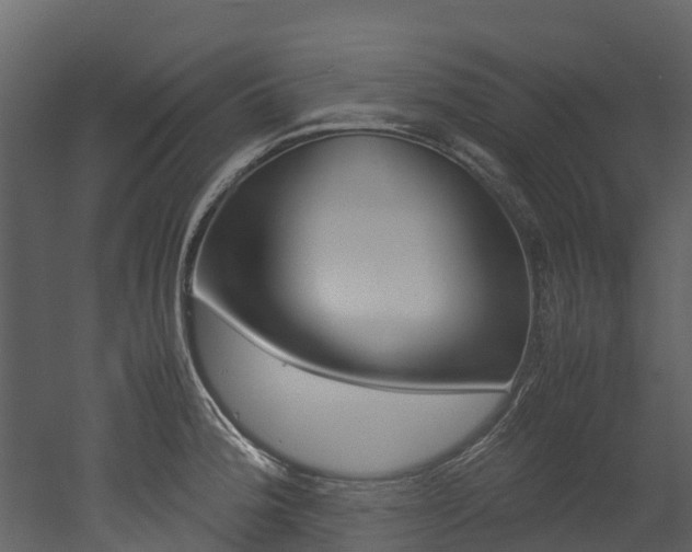 X0000052971188200507080914