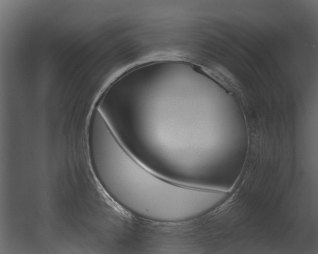 X0000052971192200507080914
