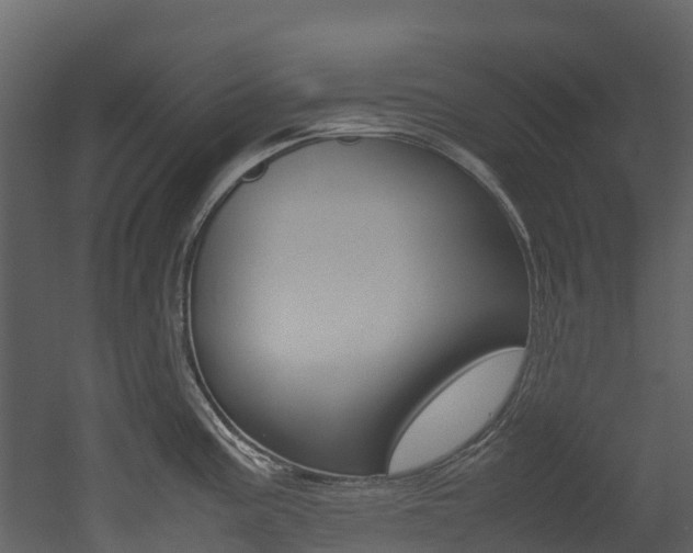 X0000052971195200507080914