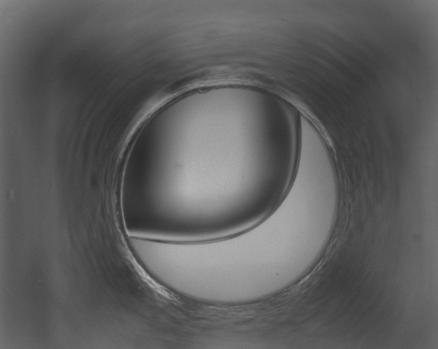 X0000052971197200507080914