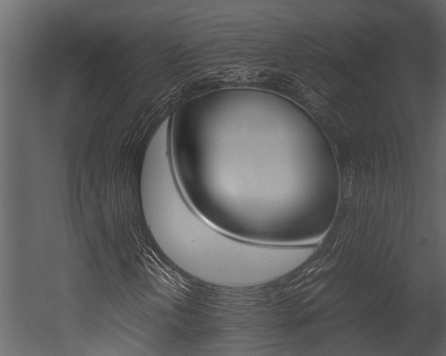 X0000052971202200507080913