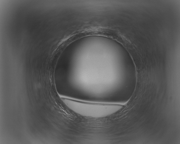 X0000052971206200507080913
