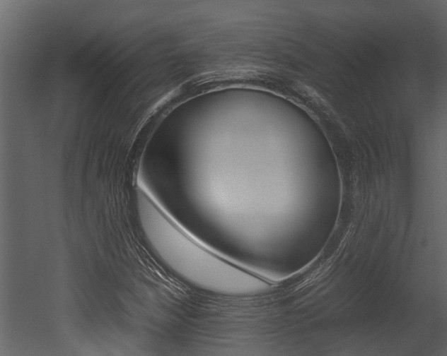 X0000052971210200507080913