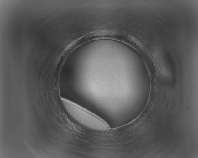 X0000052971213200507080913