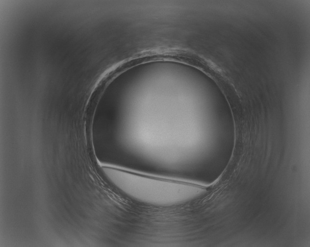 X0000052971214200507080913
