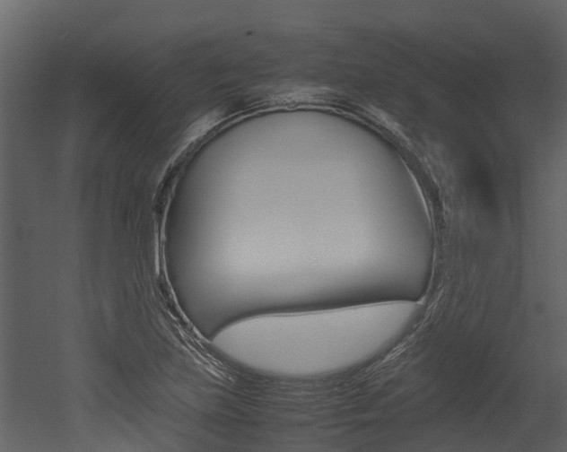 X0000052971219200507080913