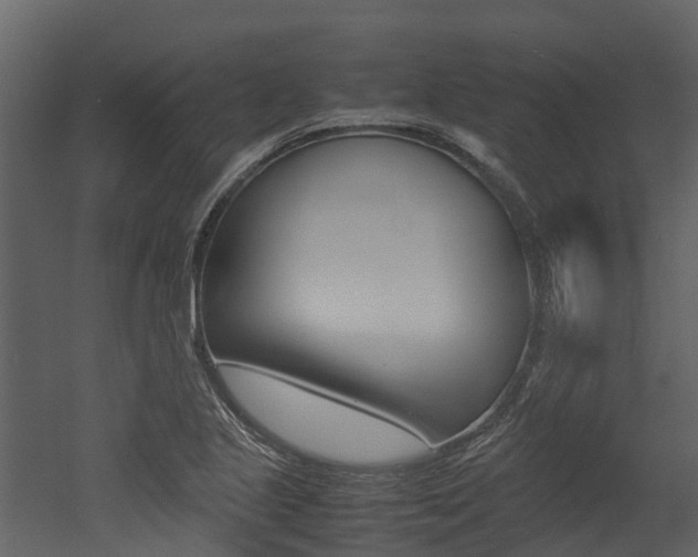 X0000052971221200507080913