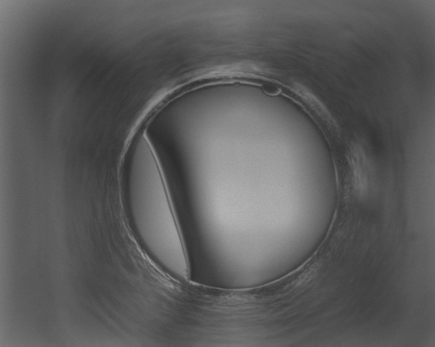 X0000052971224200507080913