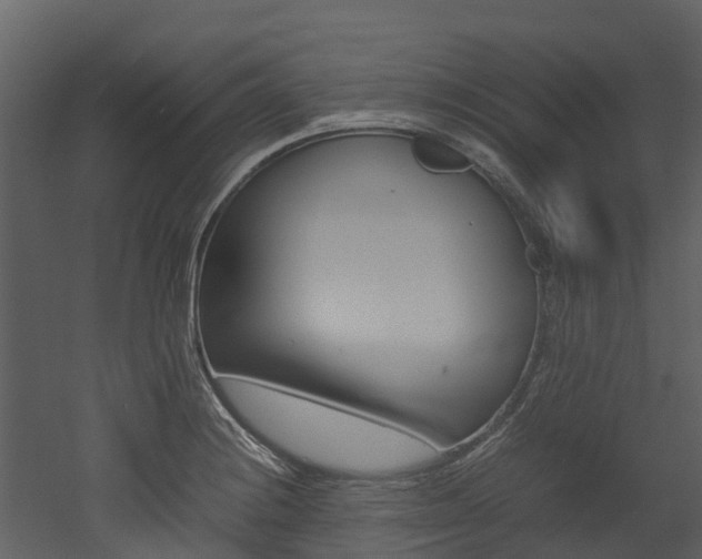 X0000052971228200507080913