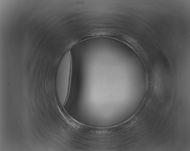 X0000052971233200507080913
