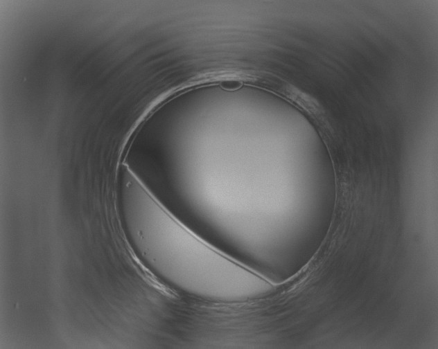X0000052971236200507080913