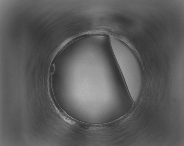 X0000052971237200507080913