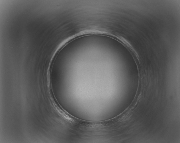 X0000052971238200507080913