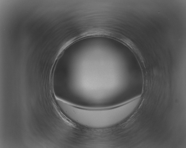 X0000052971242200507080913