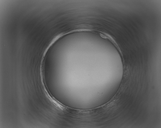 X0000052971243200507080913