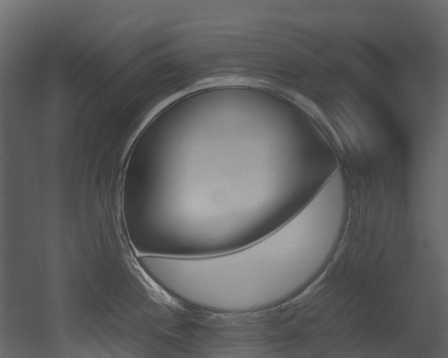 X0000052971244200507080913