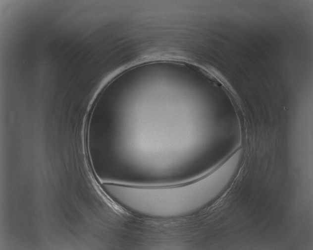 X0000052971246200507080914