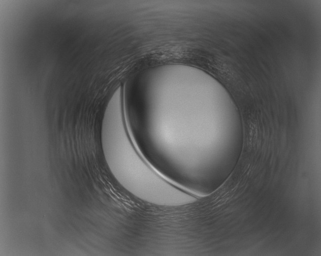 X0000052971250200507080913