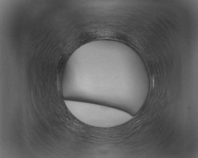 X0000052971251200507080913