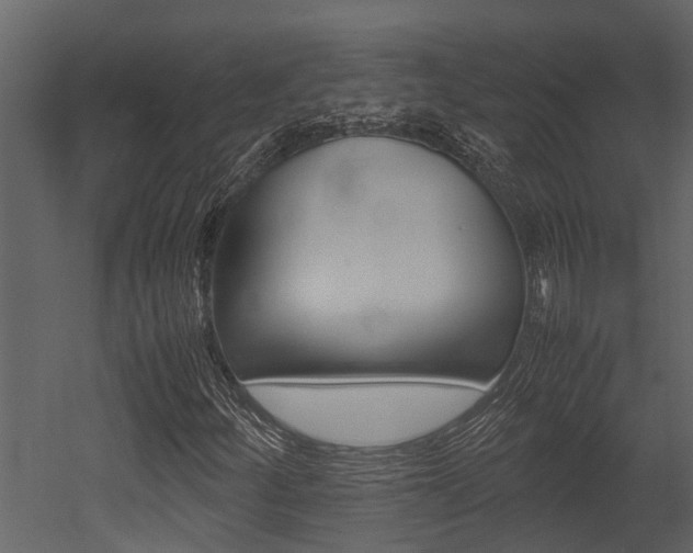 X0000052971252200507080913