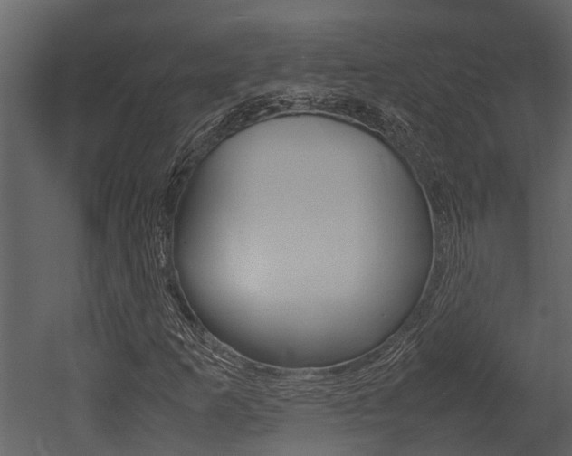 X0000052971253200507080913
