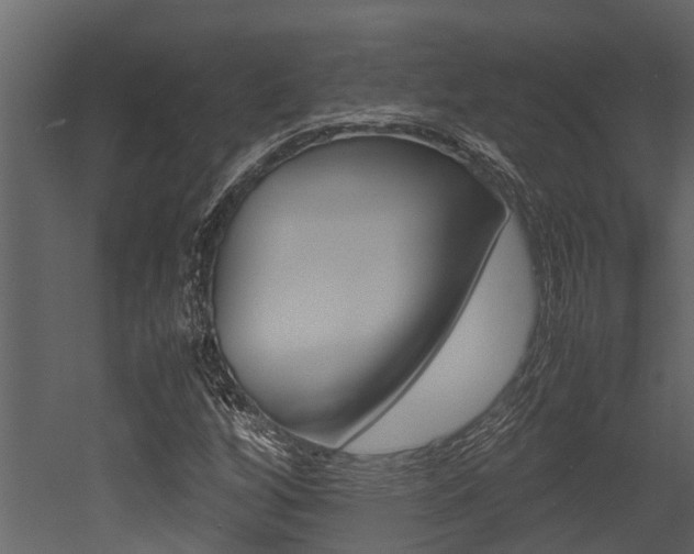 X0000052971256200507080913