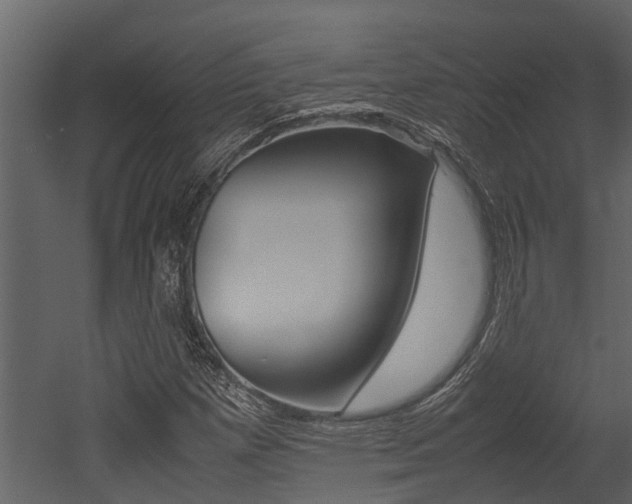 X0000052971257200507080913