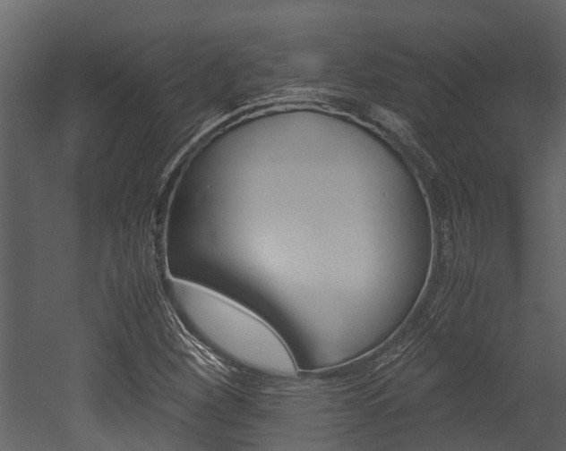 X0000052971260200507080913